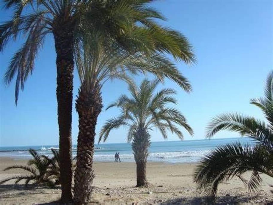 Piso Centro Torreblanca Apartman Kültér fotó